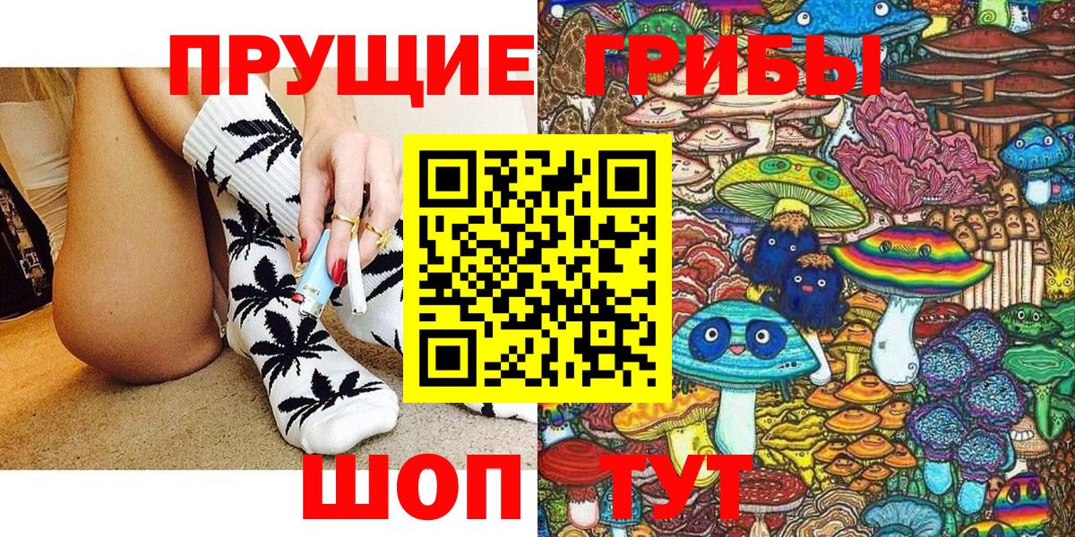 Тихорецк  Галлюциногенные грибы Psilocybine cubensis  Галлюциногенные грибы Cubensis  Вход с VPN 
