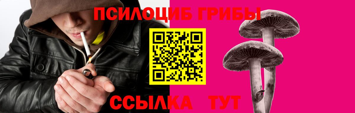 Псилоцибиновые грибы ЛСД Тихорецк